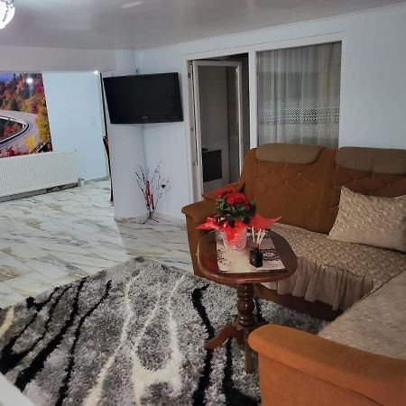 Apartmán Apartament Cu Terasa Si Gratar Satu Mare Exteriér fotografie