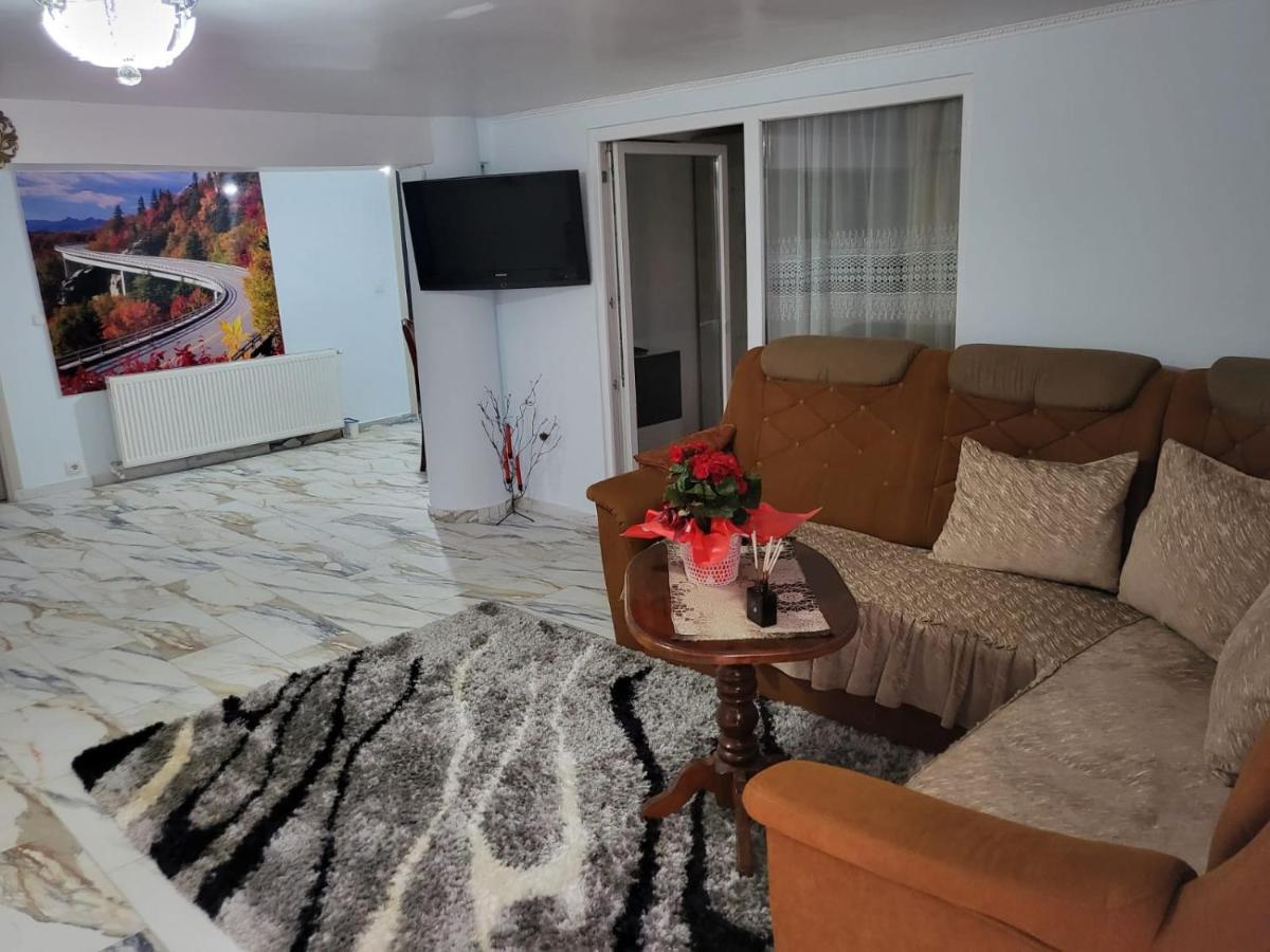 Apartmán Apartament Cu Terasa Si Gratar Satu Mare Exteriér fotografie