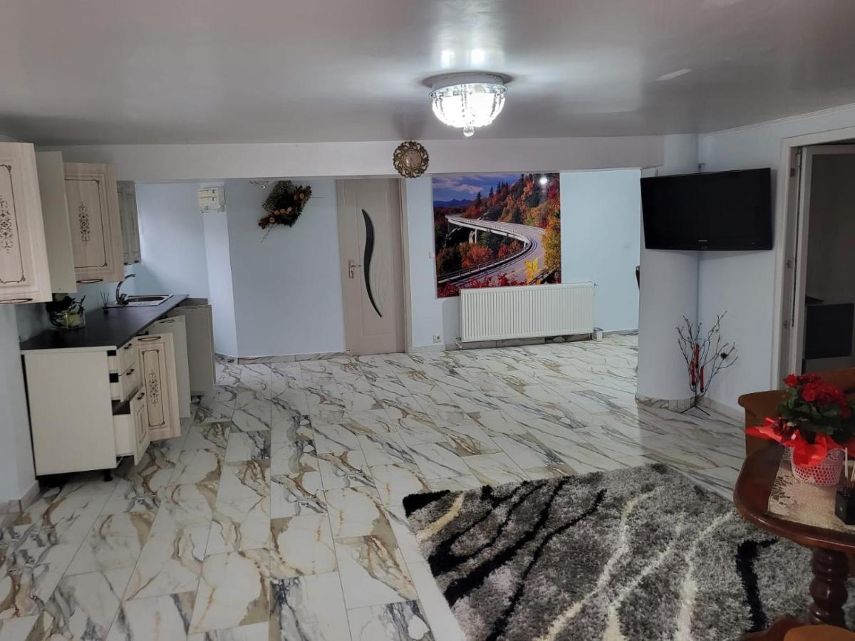 Apartmán Apartament Cu Terasa Si Gratar Satu Mare Exteriér fotografie